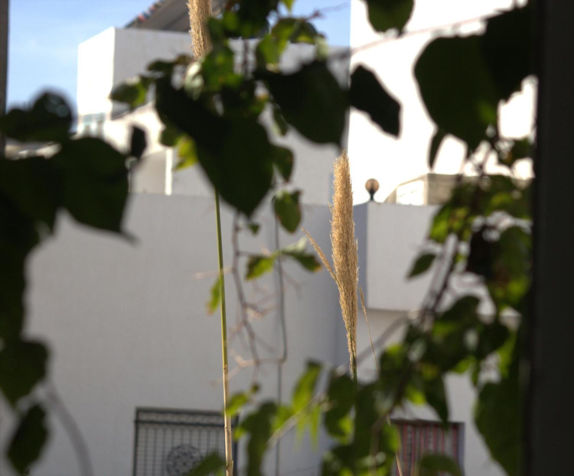 Residence Sterne Hammam al Ghazzaz Exterior foto